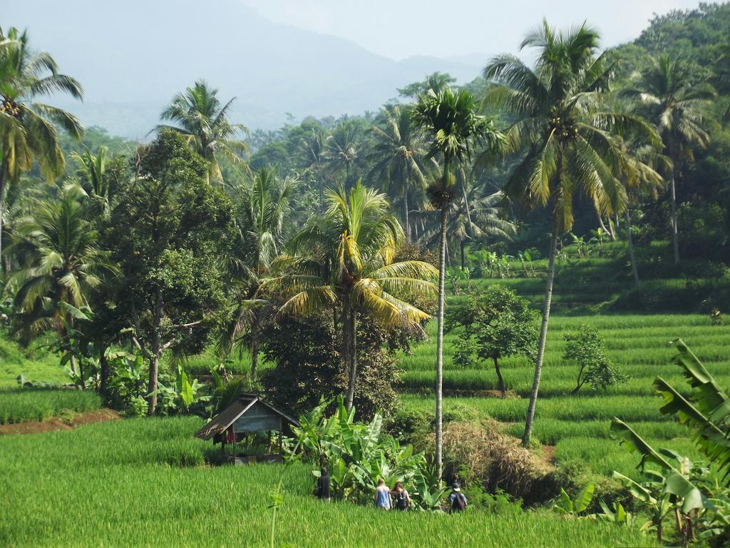 Bule * Cianjur